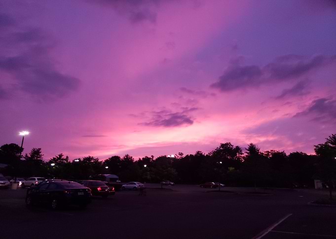 Purple Sunset