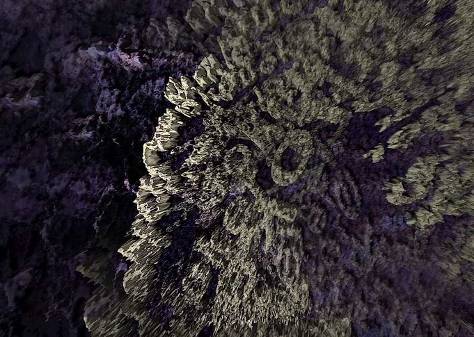 Reef