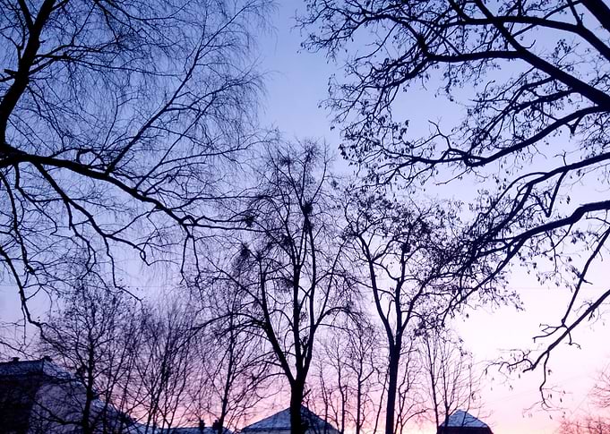 Colourfull nature