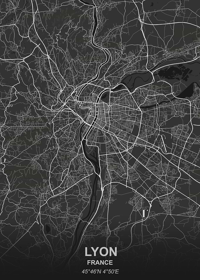 Lyon city map