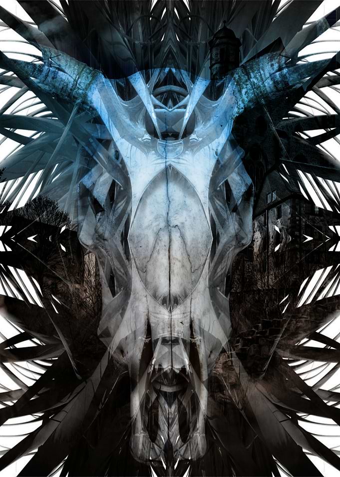 Bones Skulls Texture Art