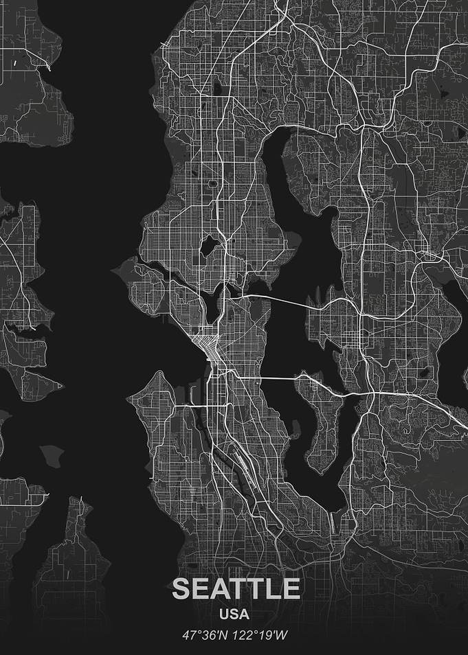 Seattle city map