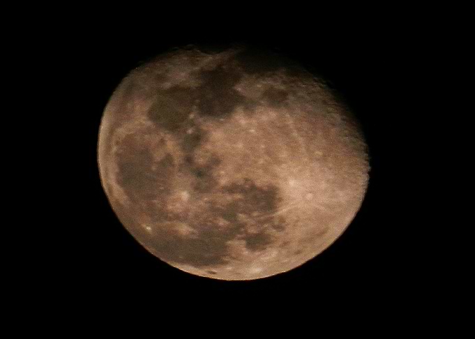 Harvest Moon