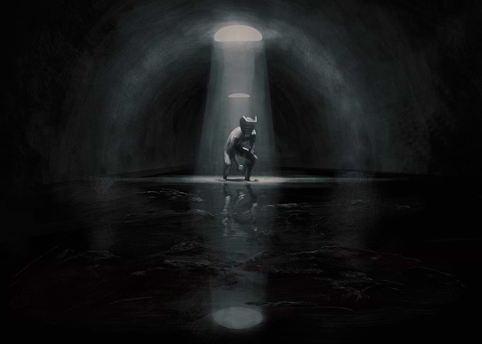 Corvit in the tonnel