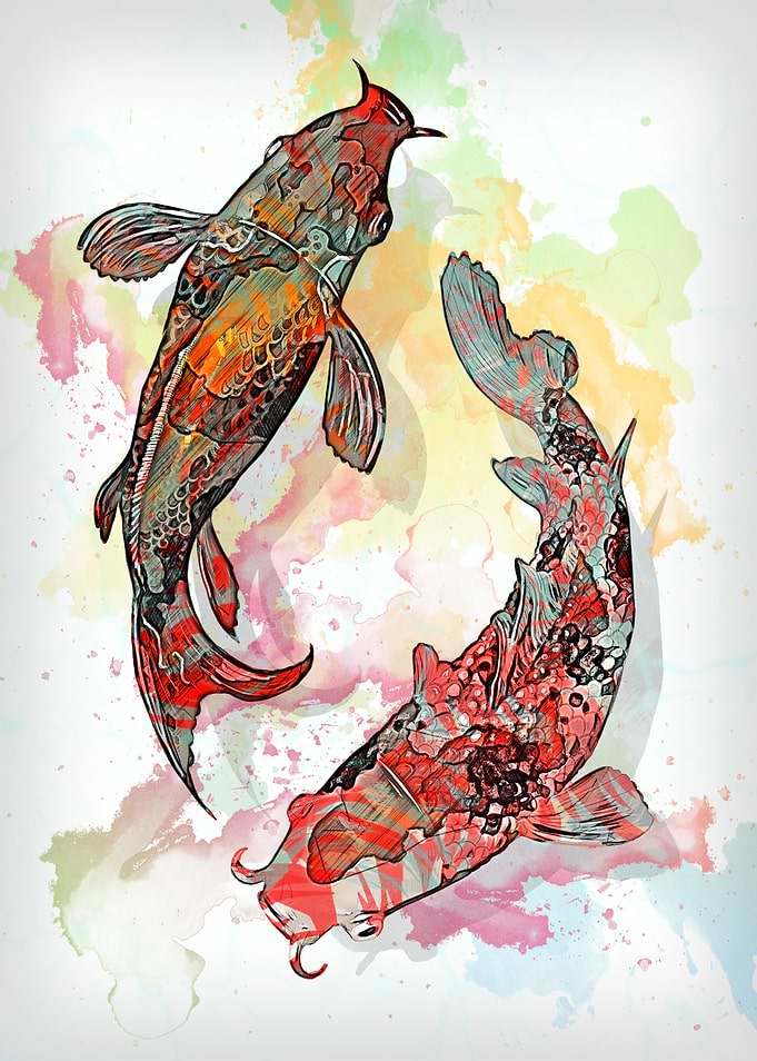 Koi Fishes