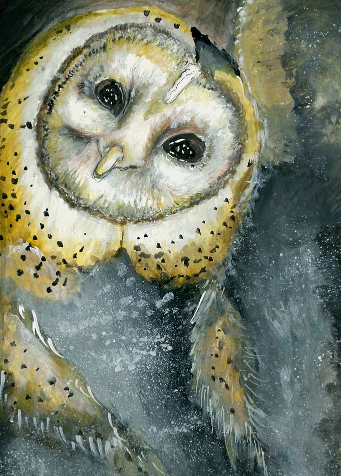 owl