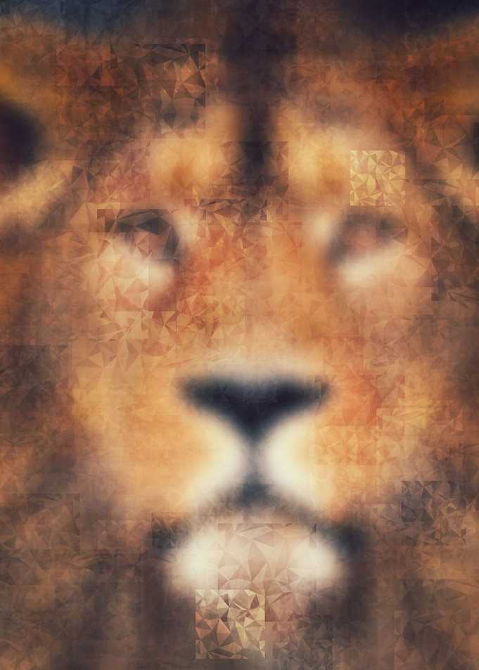 lion