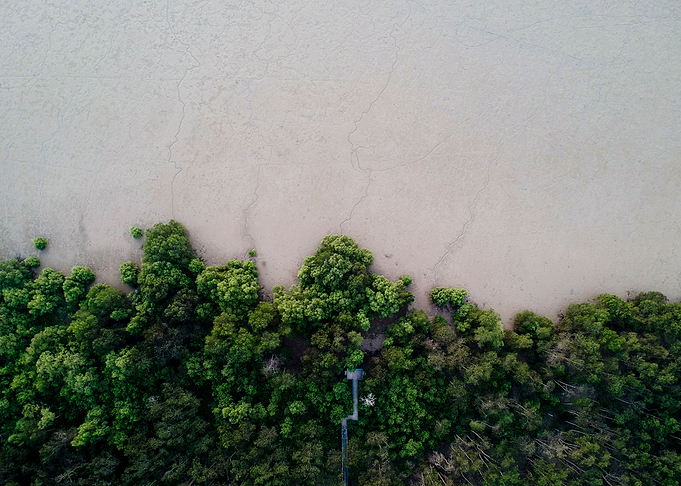End of Land