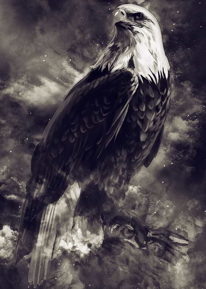 Eagle 2