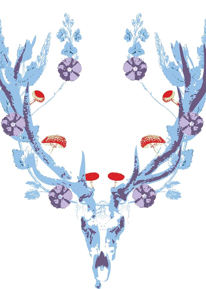 Flora deer
