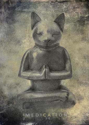 MediCATion Meditation