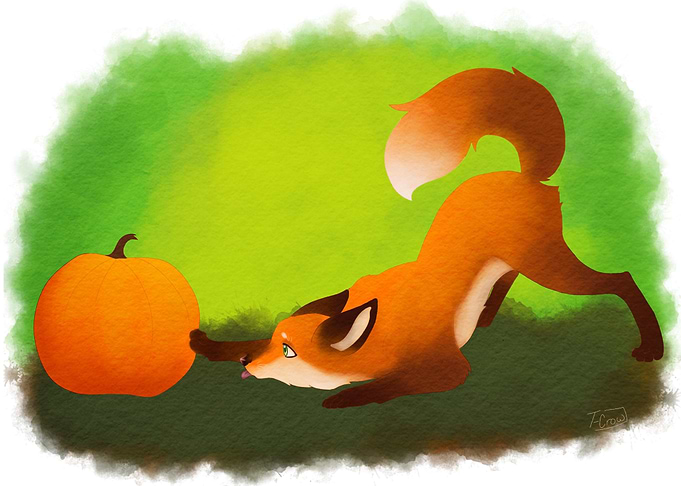 Curious little fox