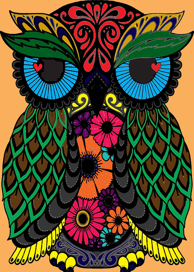 Owl Time