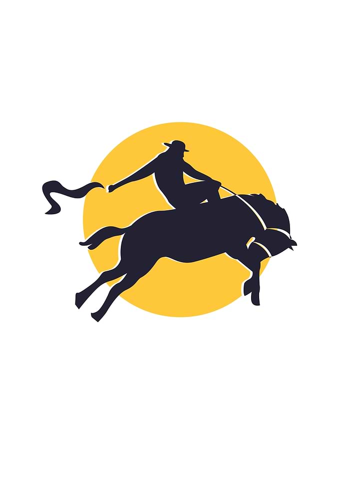 Cowboy Riding Bull