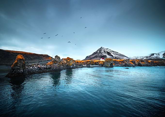 Sea Shore Sight