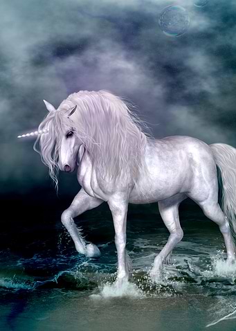 Wonderful unicorn