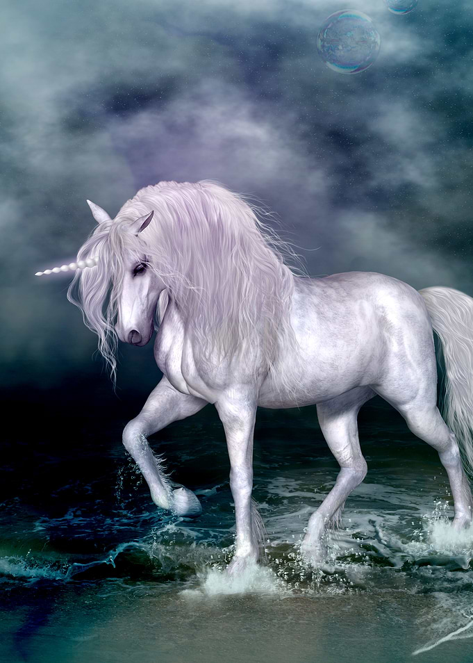 Wonderful unicorn