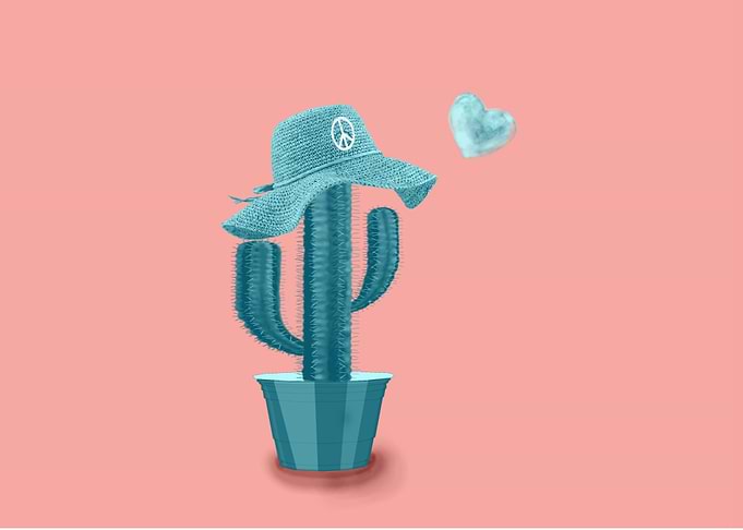 Mr. cactus