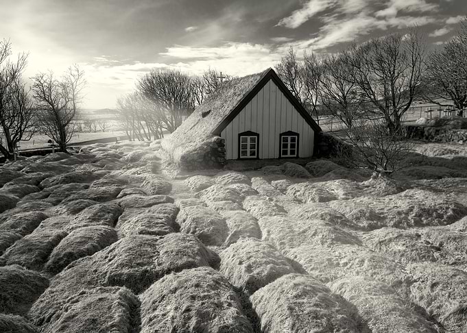 The Last Turf Church of Ho