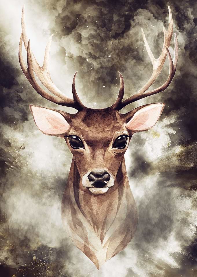 Deer
