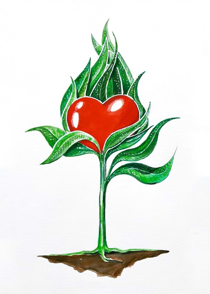 'love bloom'