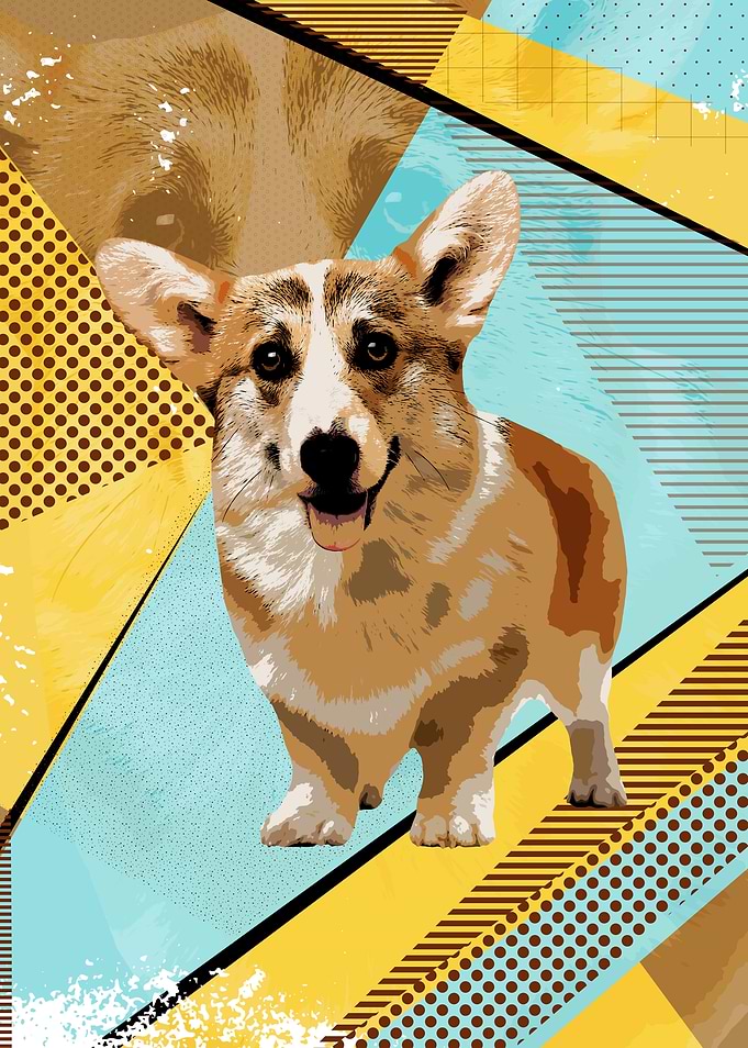 Welsh Corgi