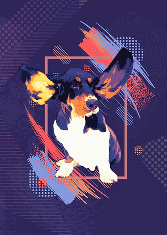 Basset Hound