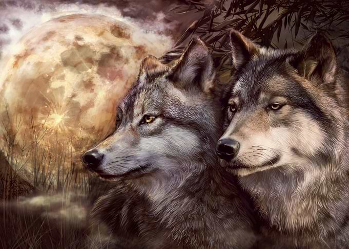 Wolfs