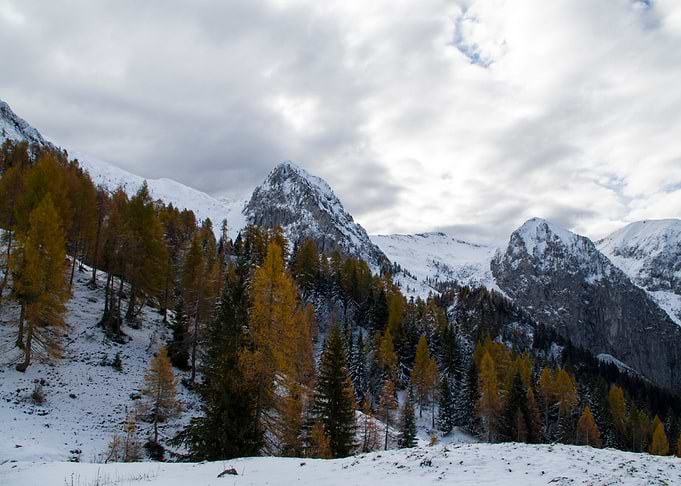 Snowy autumn