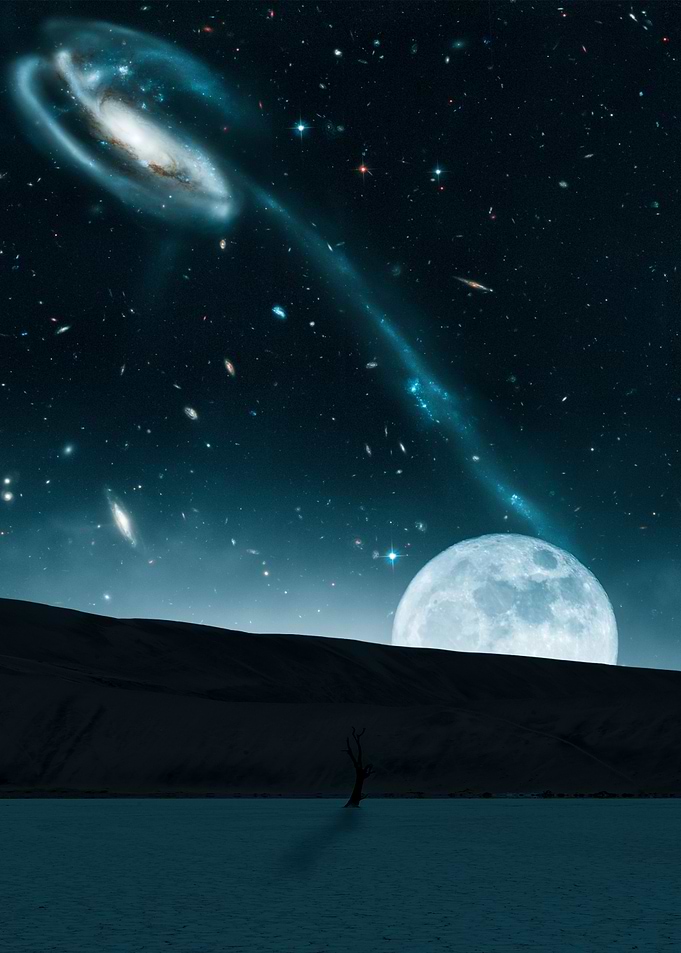 Lunar Tadpole