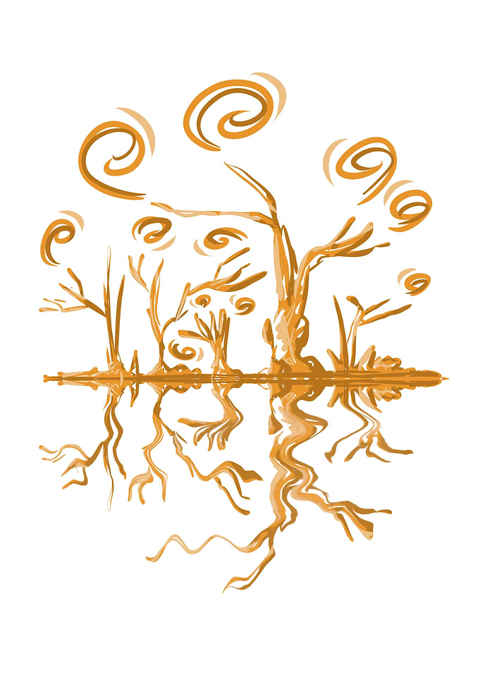 Twisted forest