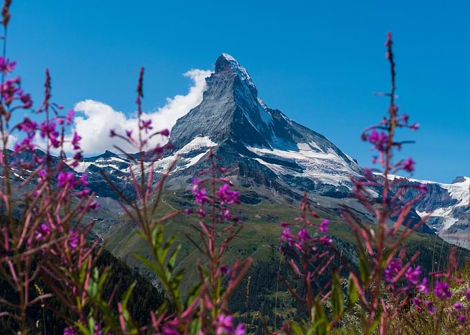 Matterhorn Zermatt Summer