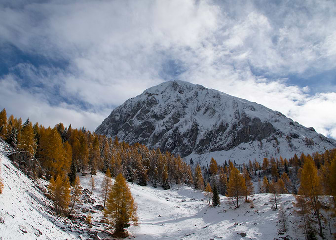 Snowy autumn