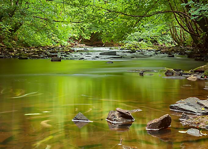 Down by the river