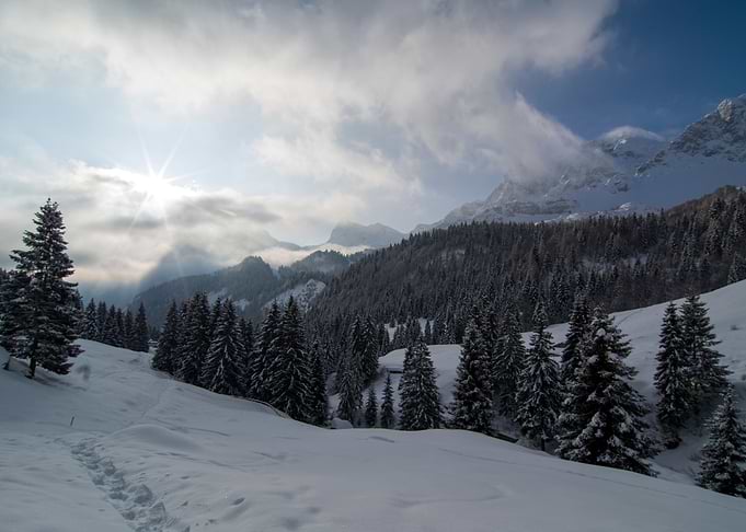 Paradise valley