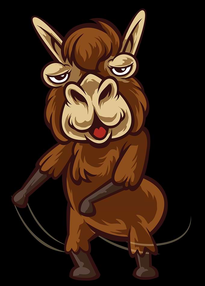 Dancing Llama