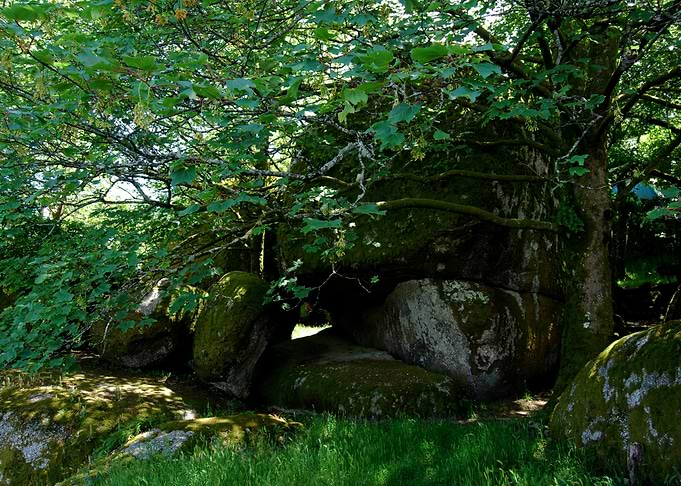BLOCKED PATH