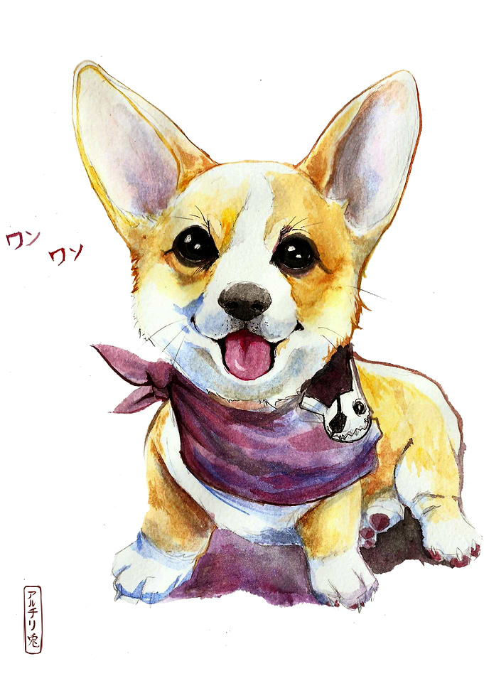 Inu