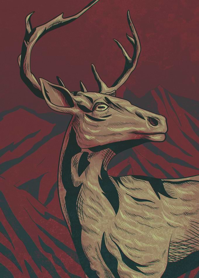 The Deer