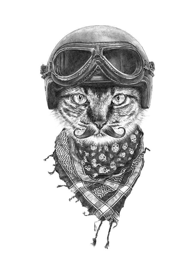 Biker Cat
