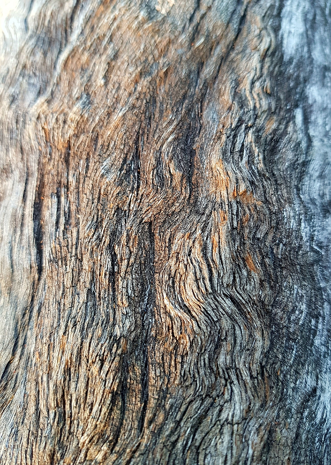Waves