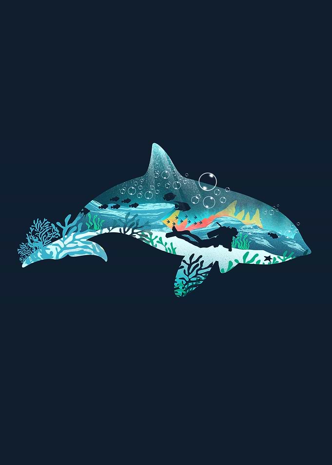 Dolphin Diver