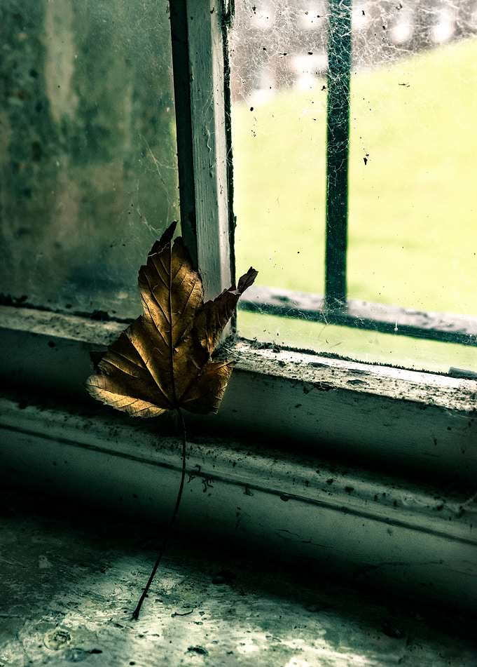 Dead Leaf