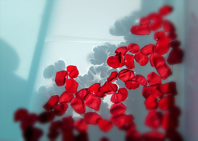 Red Passion