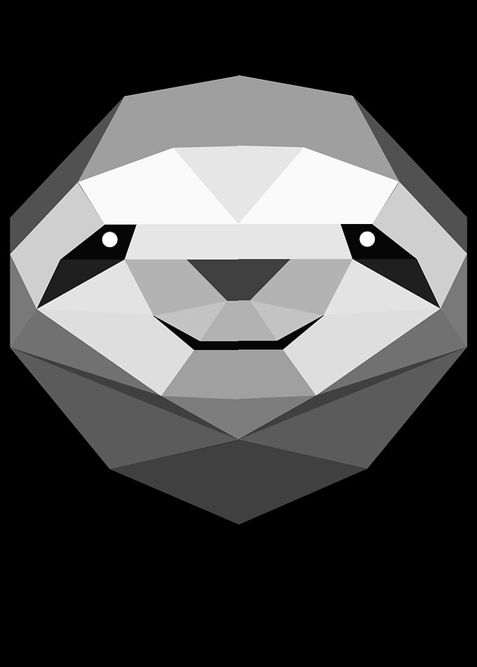 Sloth Animal