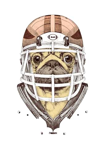 American Football Pug
