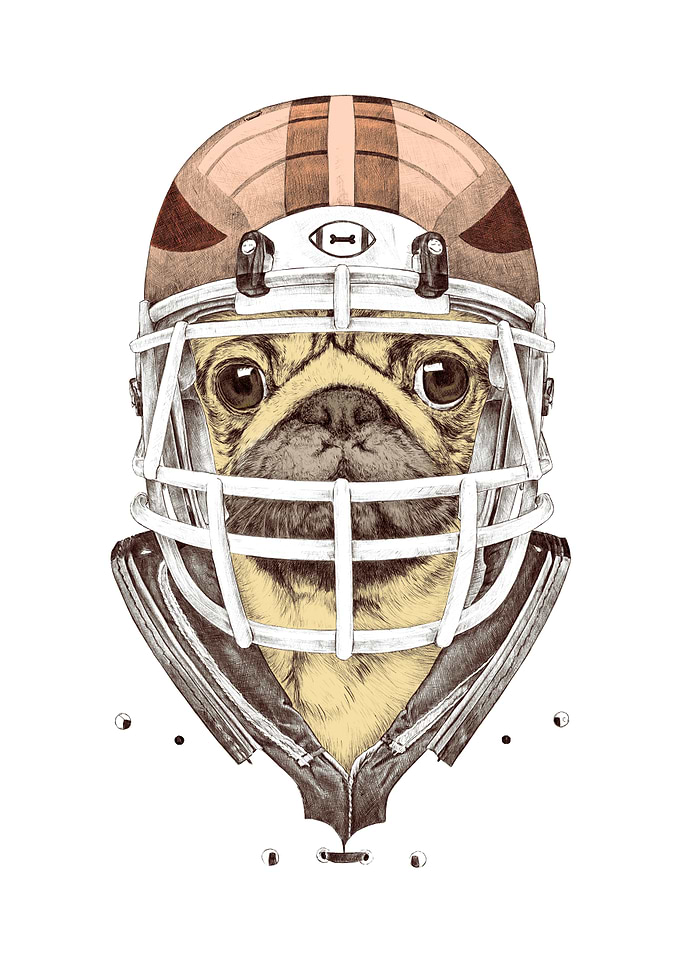 American Football Pug