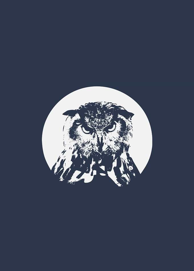 O-OWL