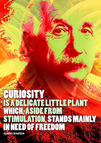 Albert Einstein Quote 1