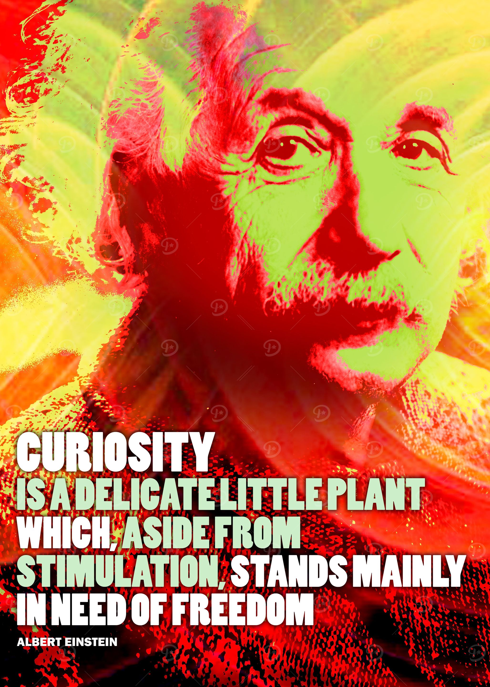 Albert Einstein Quote 1